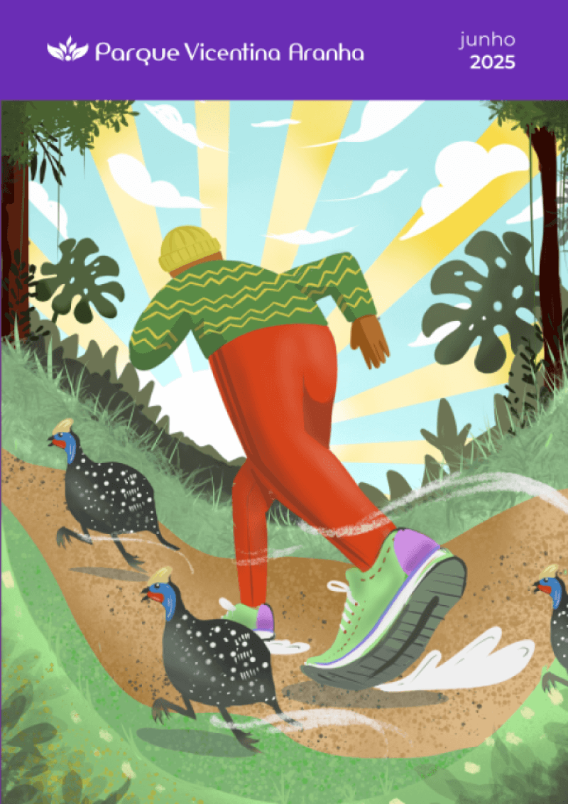 caderno de programação junho 2025