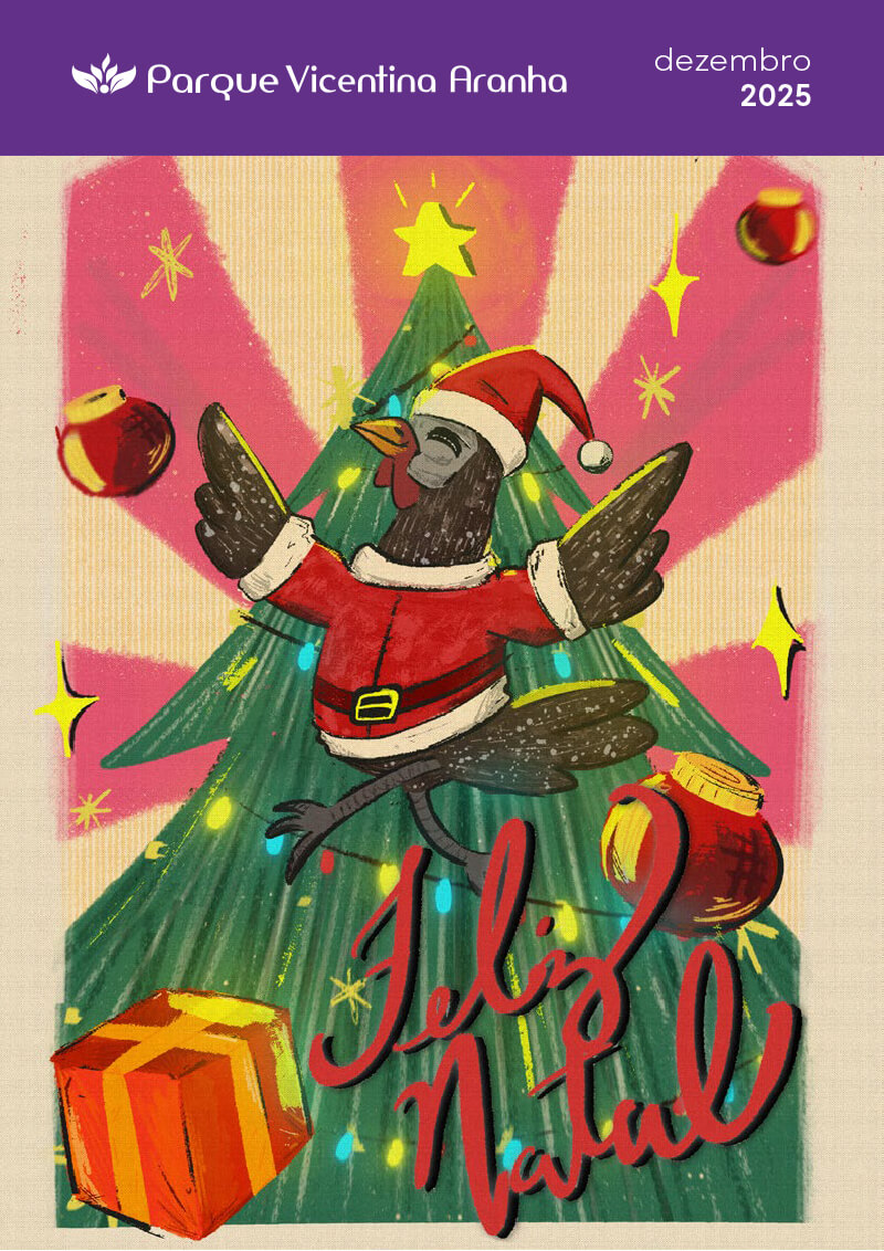 caderno de programação dezembro 2025