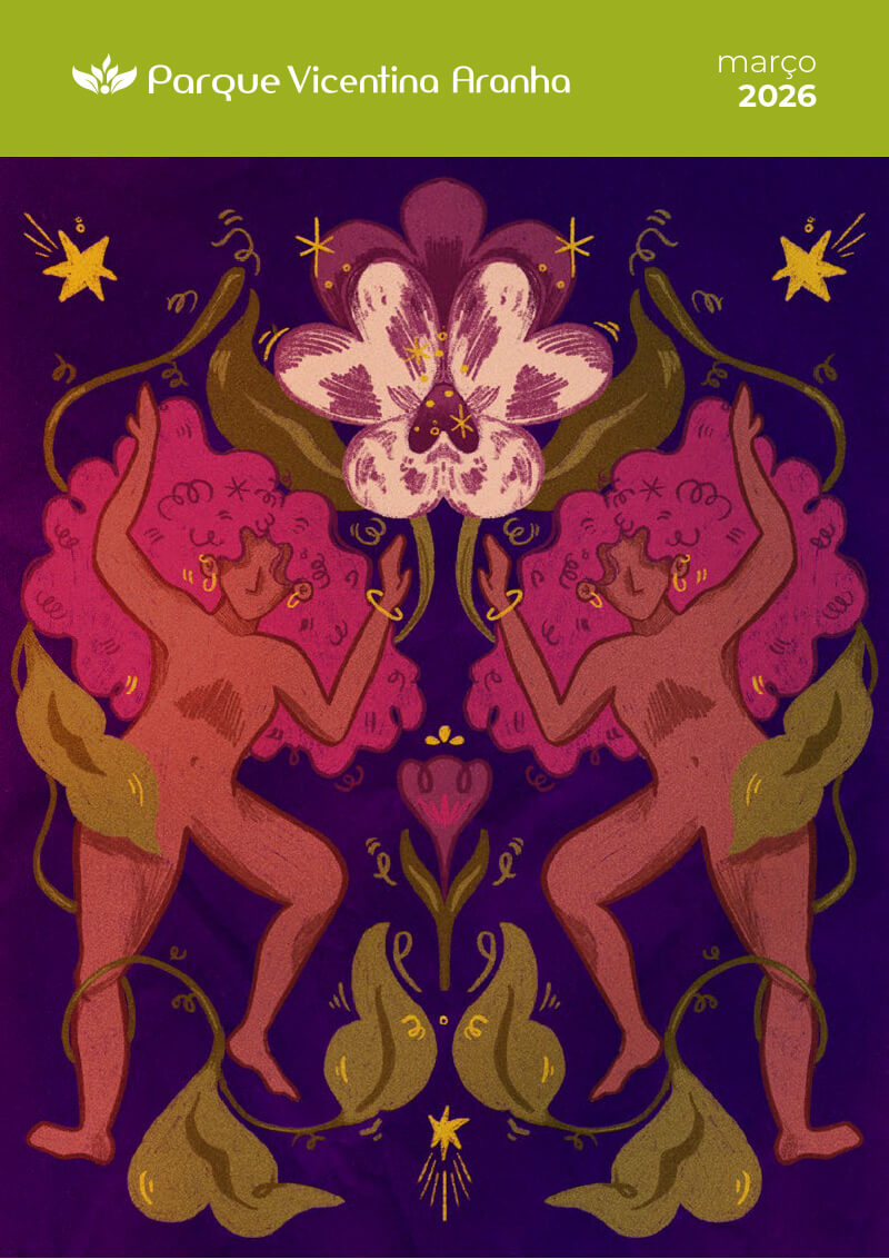 caderno de programação março 2026