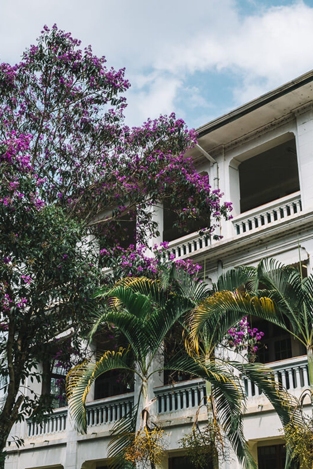 parque vicentina aranha chorinhos e choroes