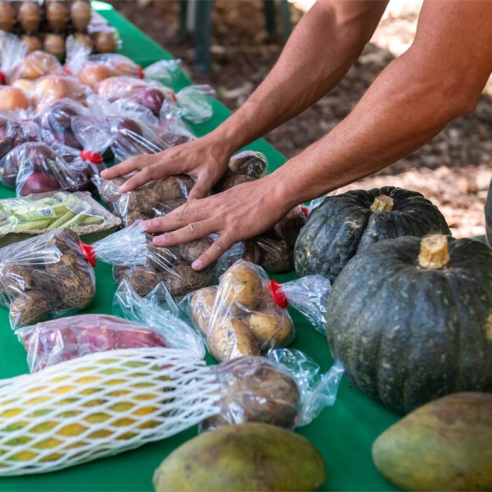 feira verde no parque