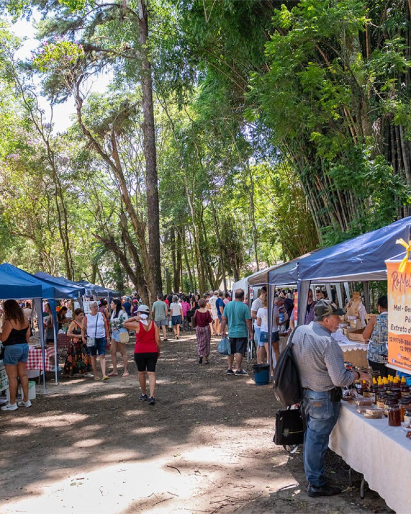 feira verde no parque