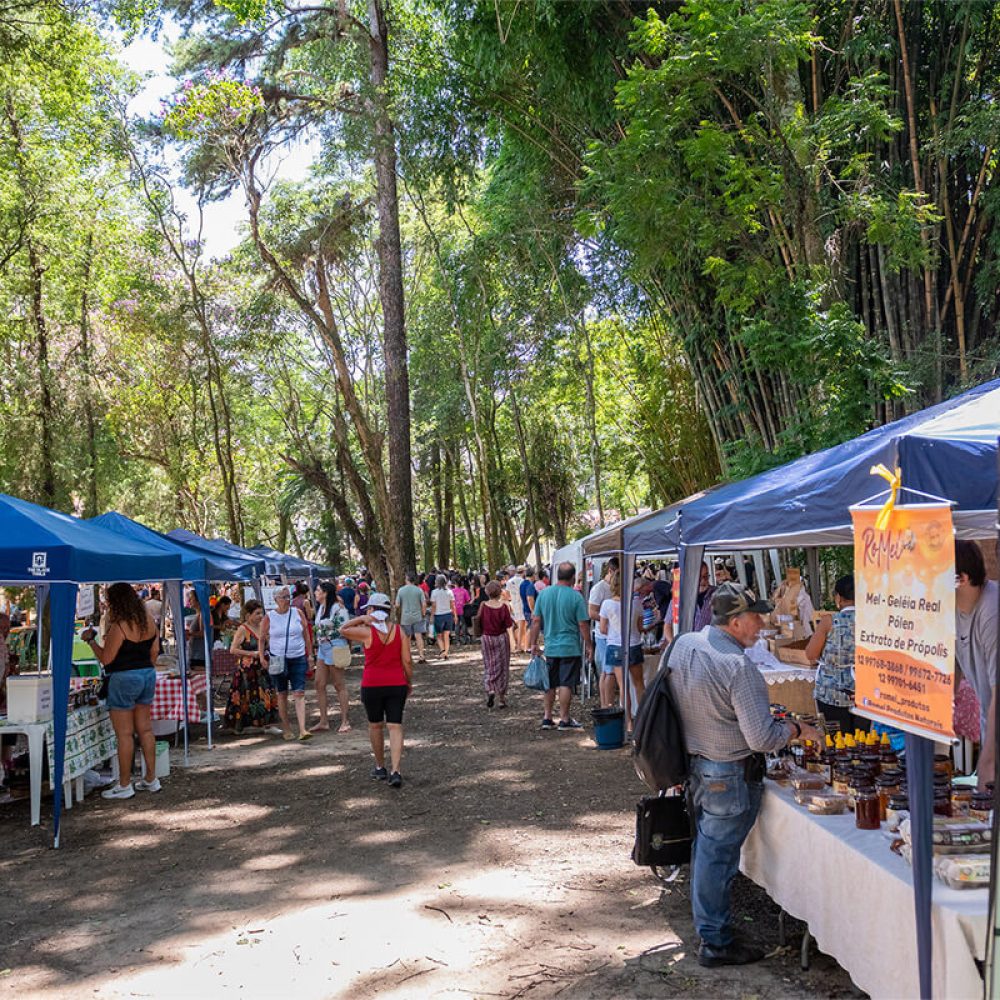 feira verde no parque