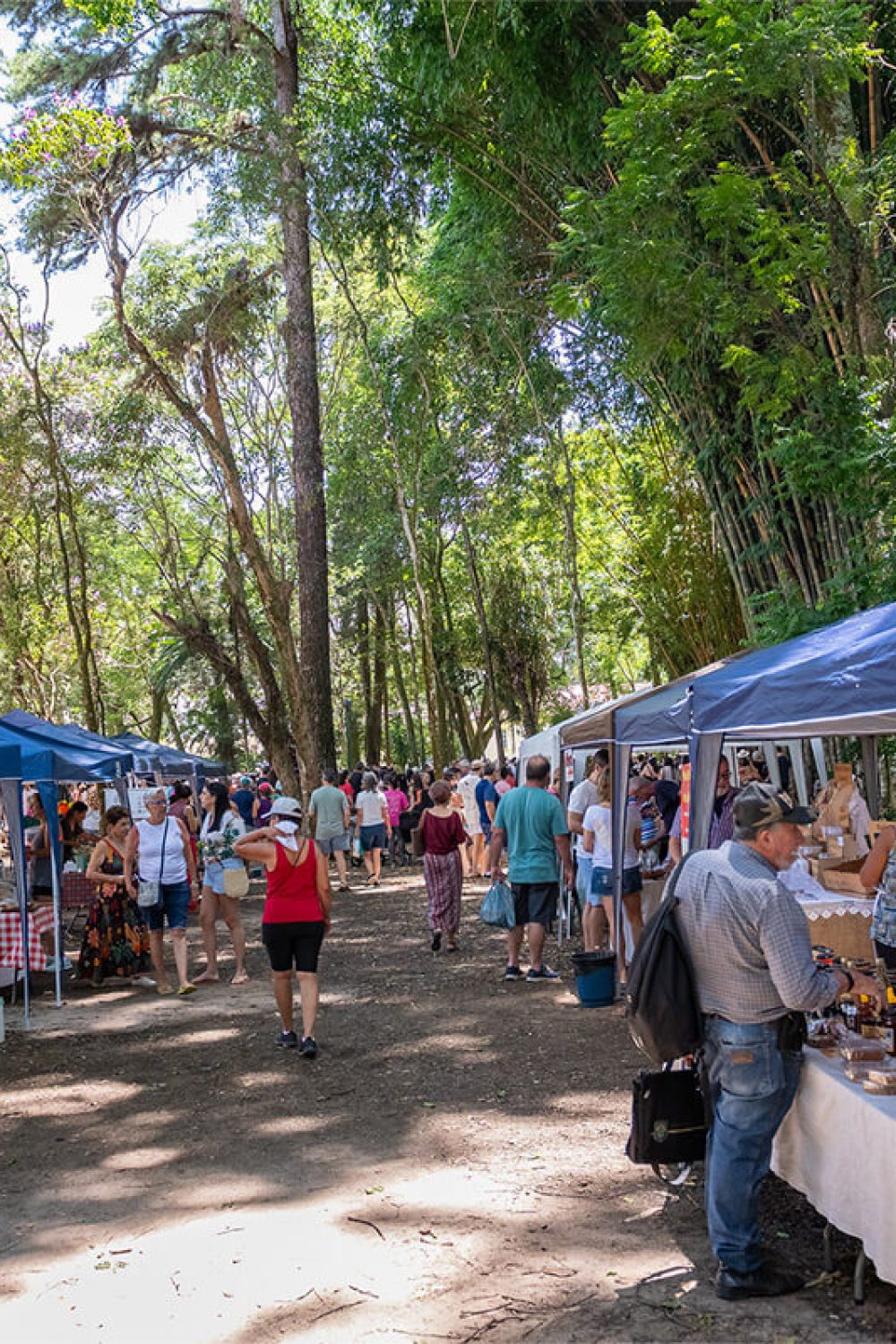 feira verde no parque