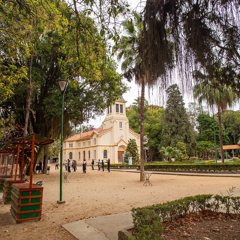 parque vicentina aranha feirinha
