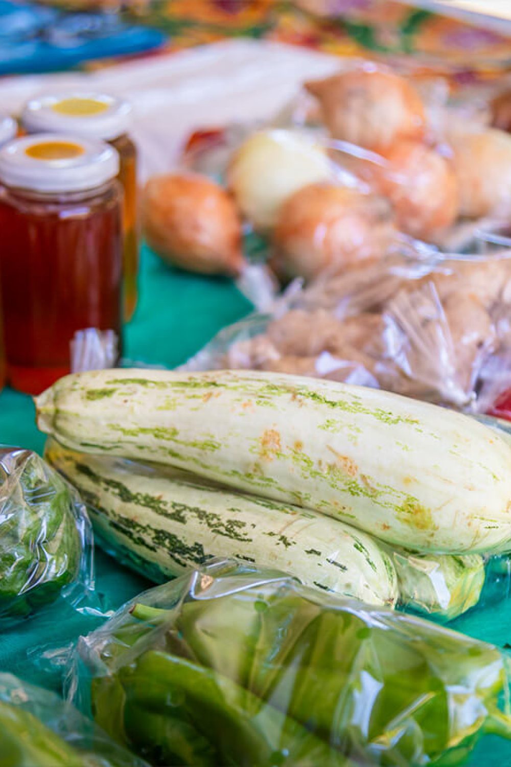 parque vicentina aranha feirinha verde