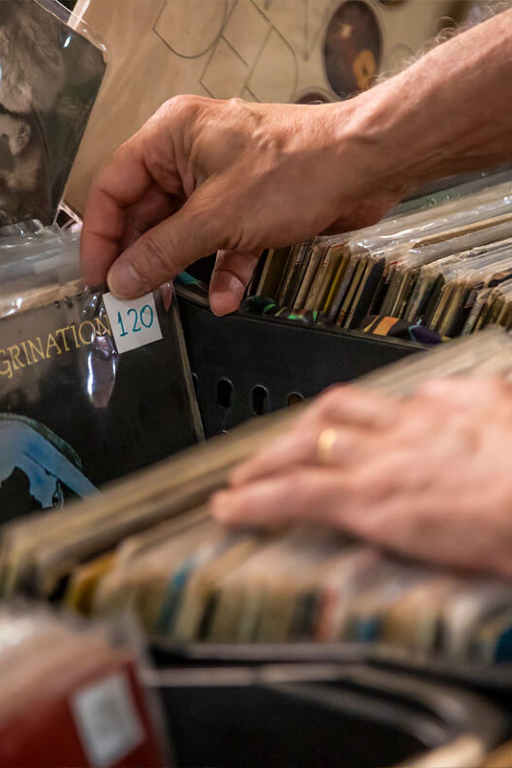 parque vicentina aranha feirinha de vinil