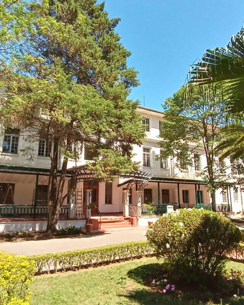 parque vicentina aranha