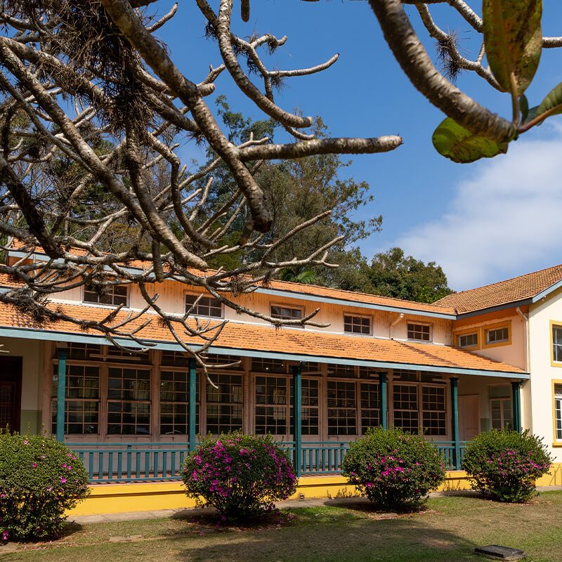 parque vicentina aranha pavilhao central