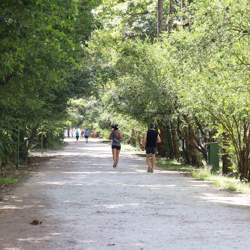 parque vicentina aranha pista de cooper