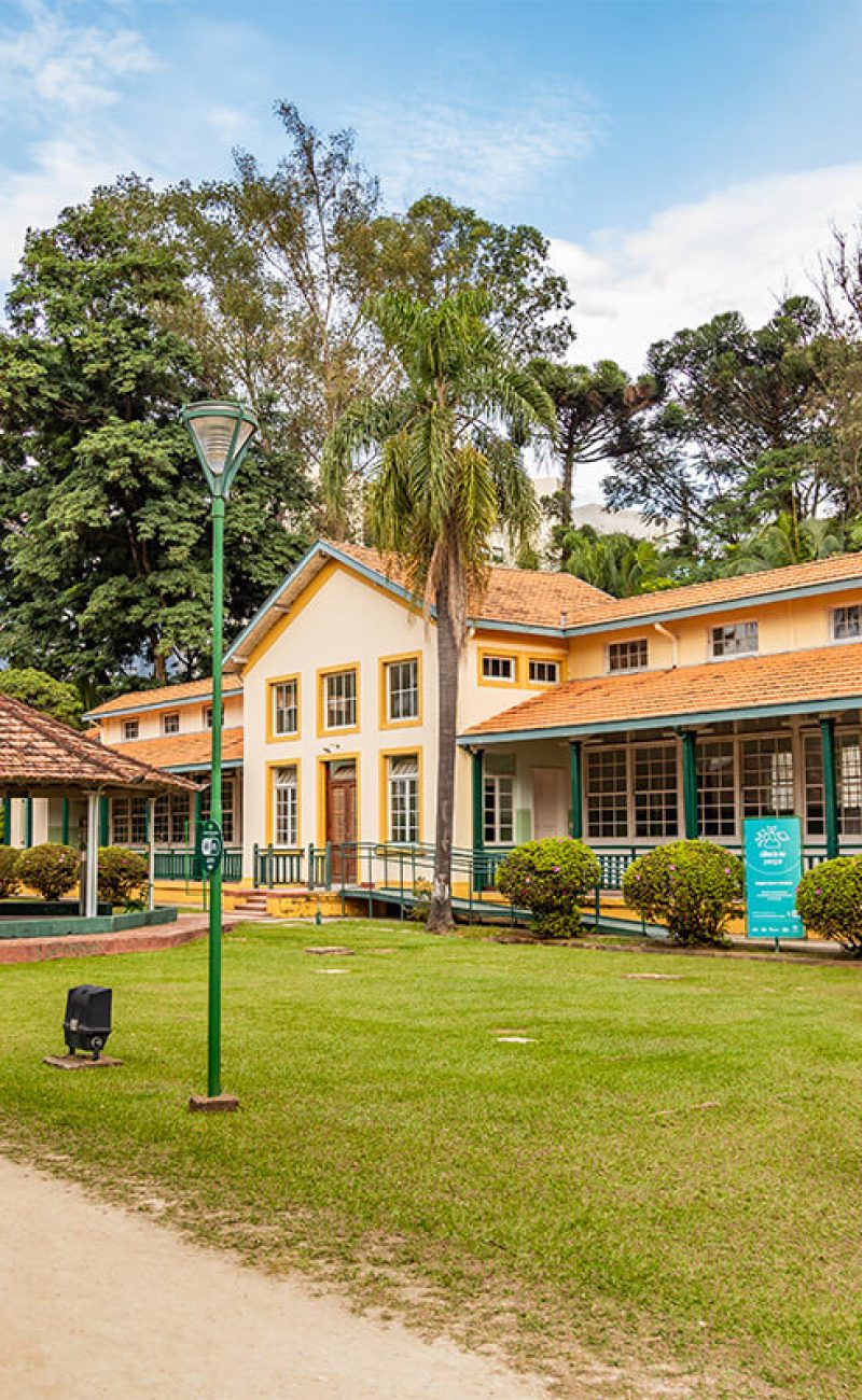 parque vicentina aranha restaurando juntos