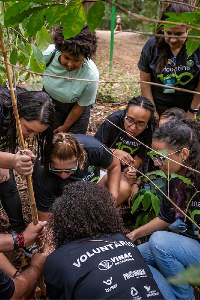 parque vicentina aranha seja um voluntario