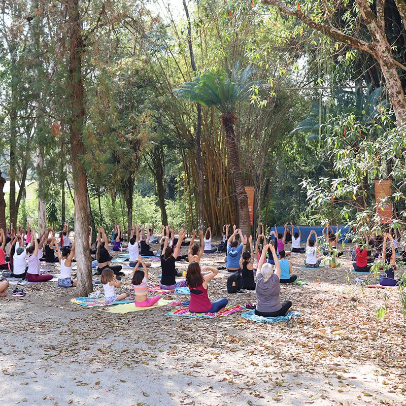 parque vicentina aranha Yoga samamaya